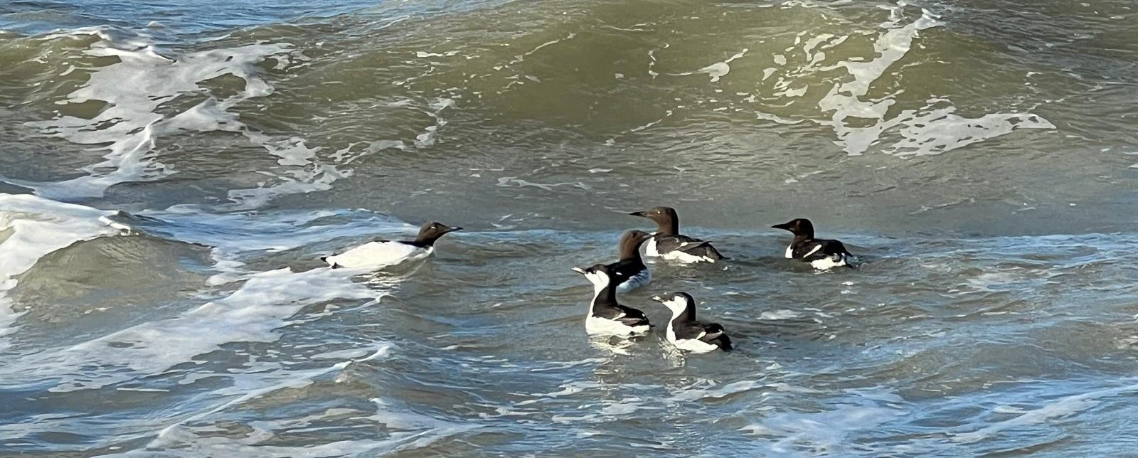 Incident eind december 2024