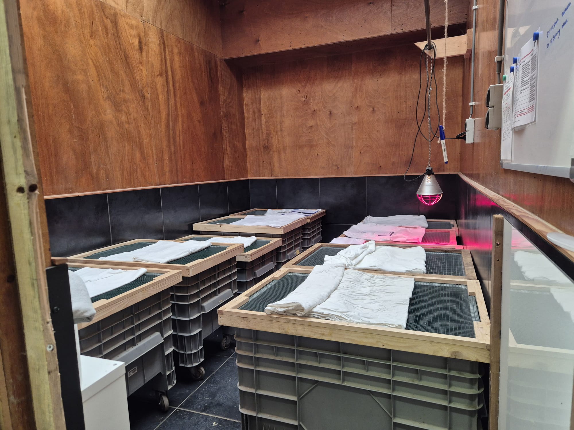 Opgeschaling 31 oktober 2025